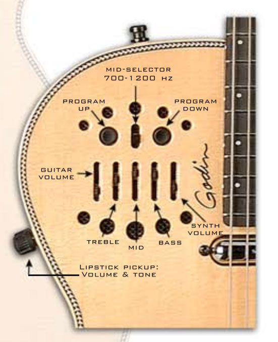 Godin Multiac Steel Spectrum Sa Synth Access Ric +housse - Natural - Guitare Acoustique - Variation 5