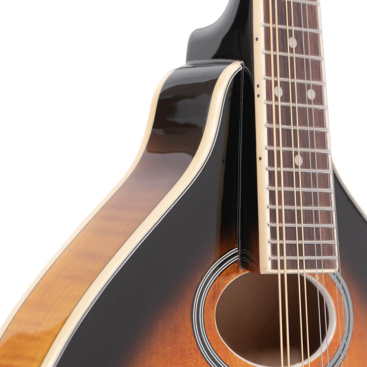 Gold Tone Gm50+ Mandoline Type A Epicea Erable Eb - Sunburst - Mandoline - Variation 2