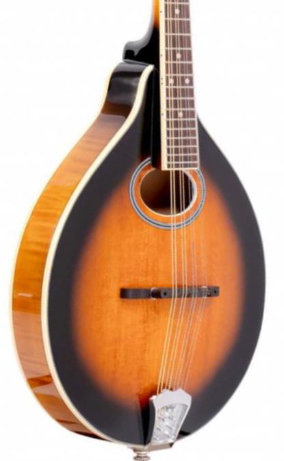 Mandoline Gold tone GM-50 + - Sunburst