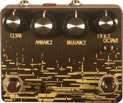 Pédale reverb / delay / echo Hungry robot pedals The Borderland Lite Reverb