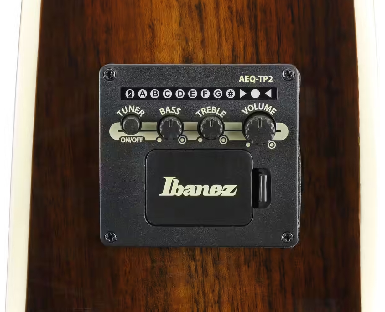 Ibanez Ae160 Vms Concert Thinline Cw Epicea Ovangkol  Ova - Vintage Mahogany Sunburst High Gloss - Guitare Folk - Variation 4