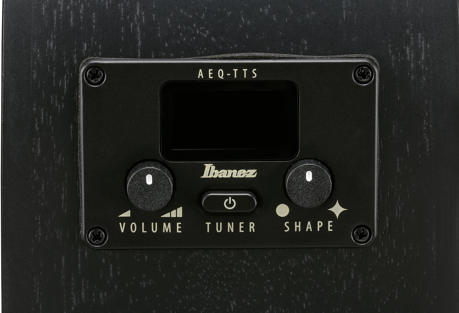 Ibanez Aeg621 Bot Epicea Sapele Eb - Black Out - Guitare Folk - Variation 6