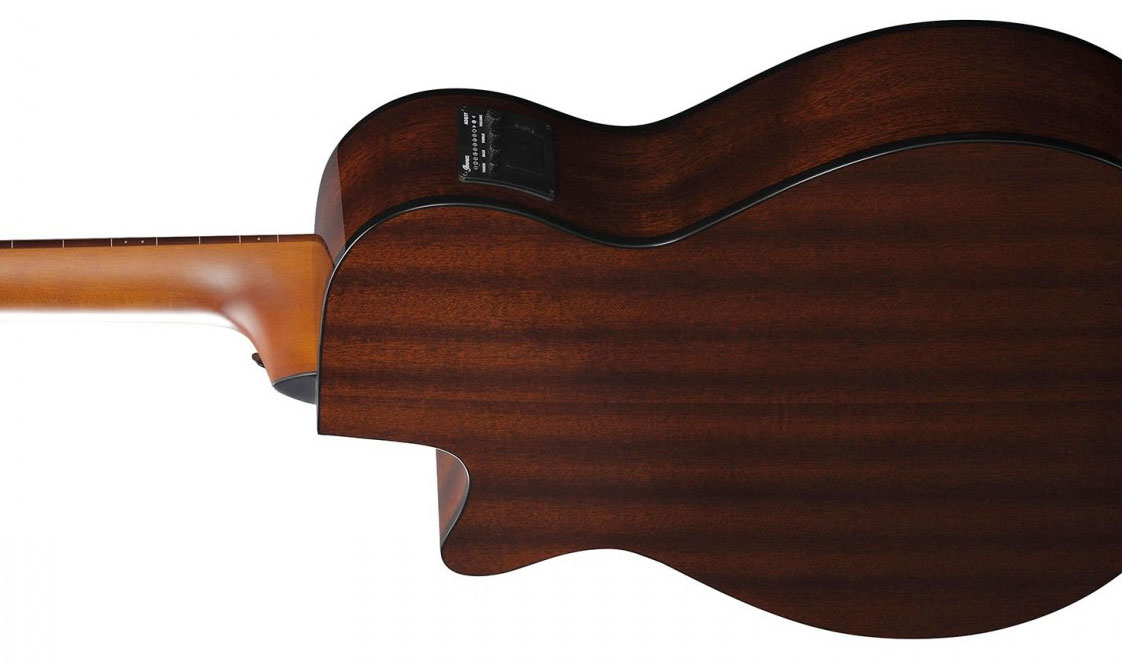 Ibanez Aegb24fe Mhs Fretless Cw Tout Sapele Noy - Mahogany Sunburst - Basse Acoustique - Variation 3