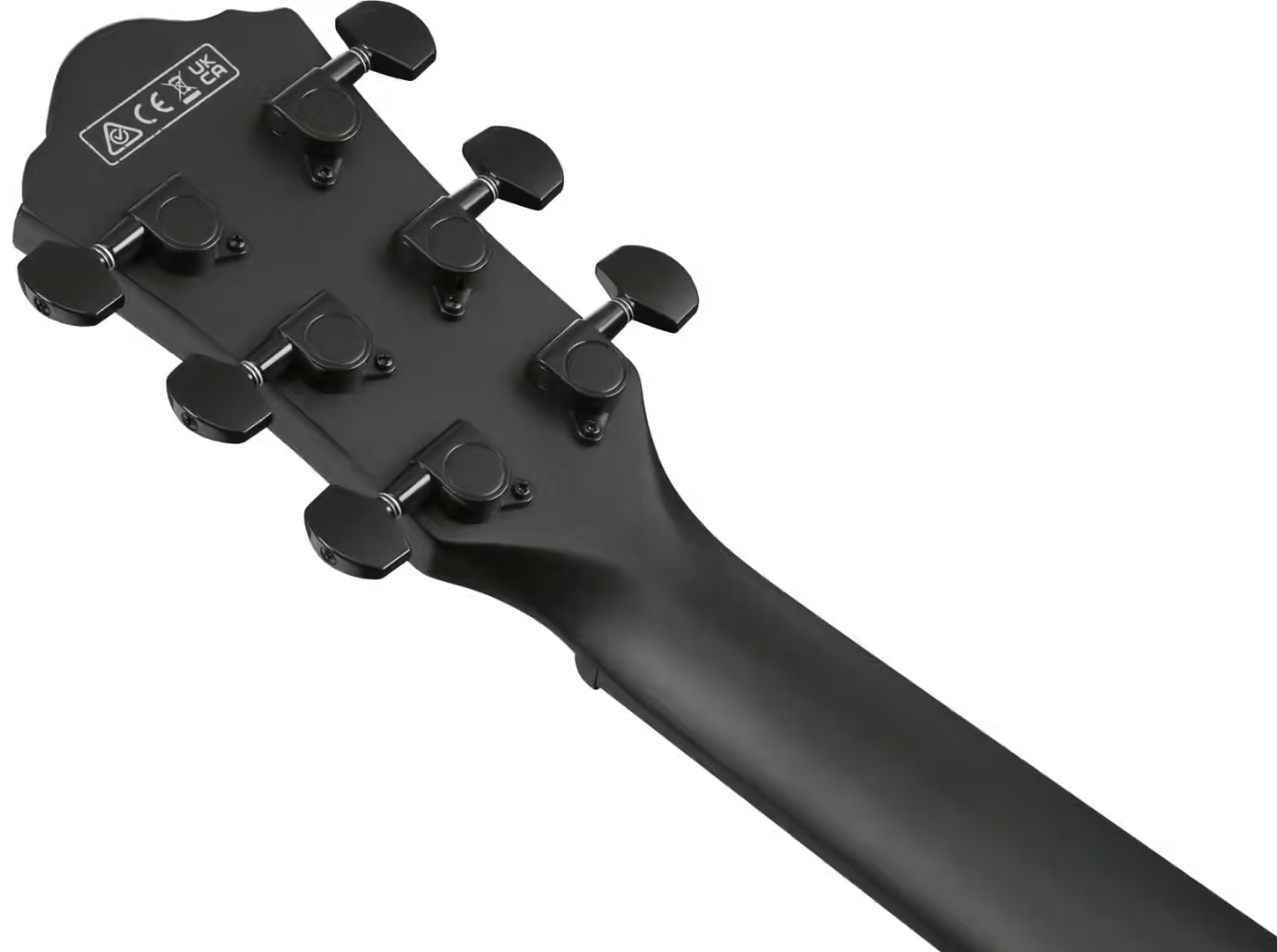 Ibanez Aewc621 Bot Grand Concert Cw Tilleul Sapele Eb - Black Out - Guitare Folk - Variation 5