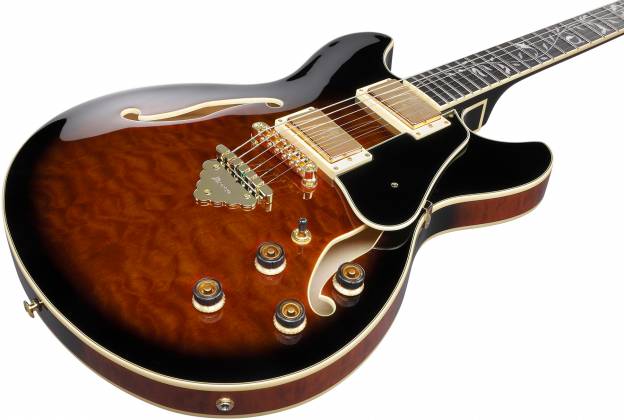 Ibanez As93qmsp Dbs Artcore Expressionist 2h Ht Eb - Dark Brown Sunburst - Guitare Électrique 1/2 Caisse - Variation 2