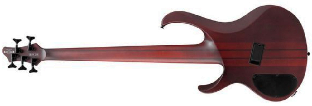 Ibanez Btb705lm Nnf Workshop 5c Multiscale Active Rw - Natural Browned Burst Flat - Basse Électrique Solid Body - Variation 1