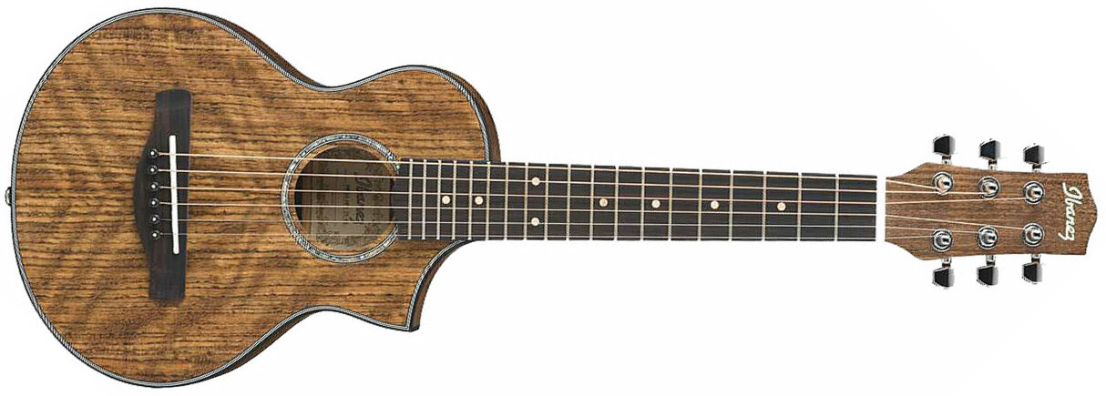 Ibanez Ewp14wb Opn - Open Pore  Natural - Guitare Acoustique Voyage - Main picture