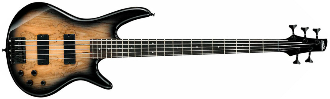 Ibanez Gsr205sm Ngt Gio Nzp - Natural Gray Burst - Basse Électrique Solid Body - Main picture