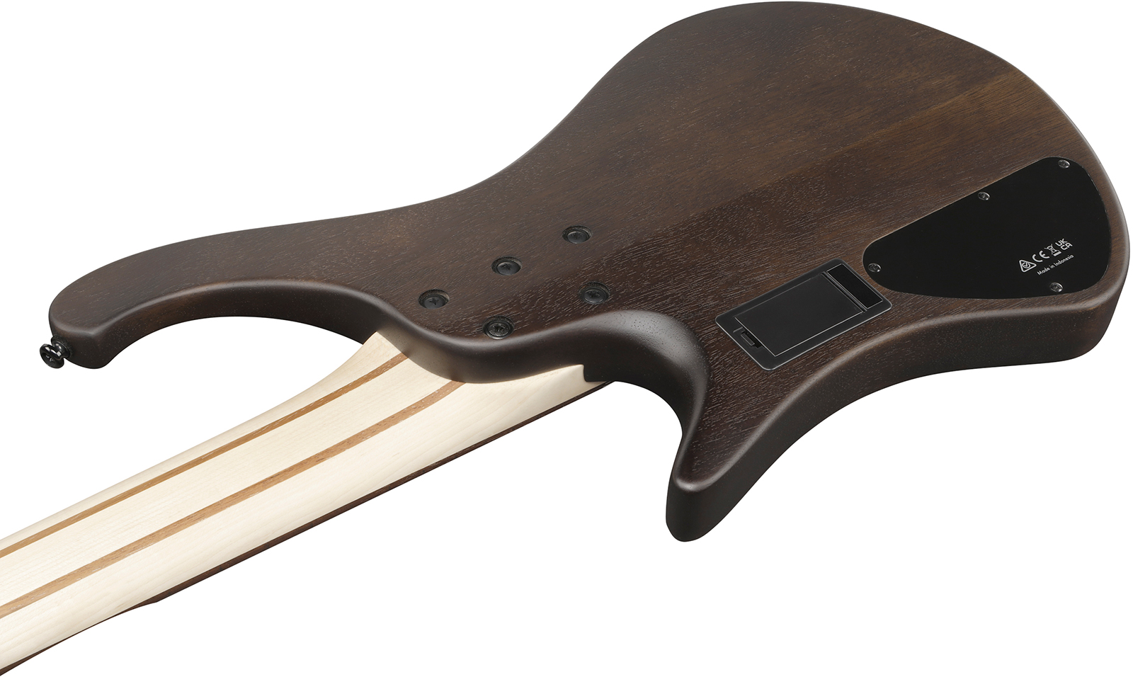 Ibanez Ehb605 Wnf Standard 5c Active Jat - Walnut Flat - Basse Électrique Solid Body - Variation 3