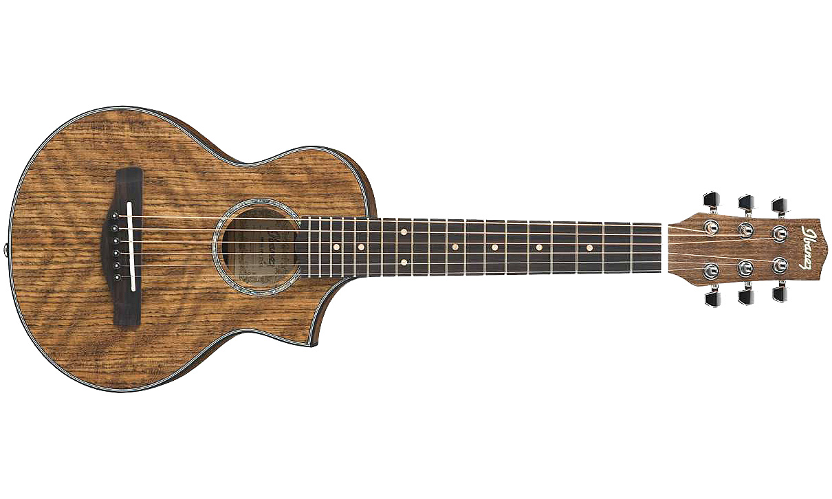Ibanez Ewp14wb Opn - Open Pore  Natural - Guitare Acoustique Voyage - Variation 1