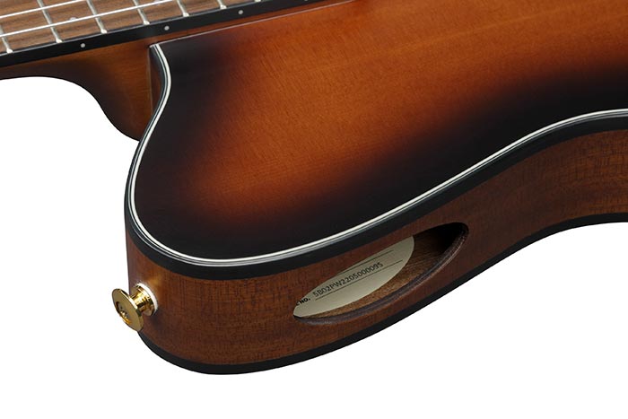 Ibanez Frh10n Bsf Hybrid Cw Epicea Sapele Wal - Brown Sunburst Flat - Guitare Classique Format 4/4 - Variation 1