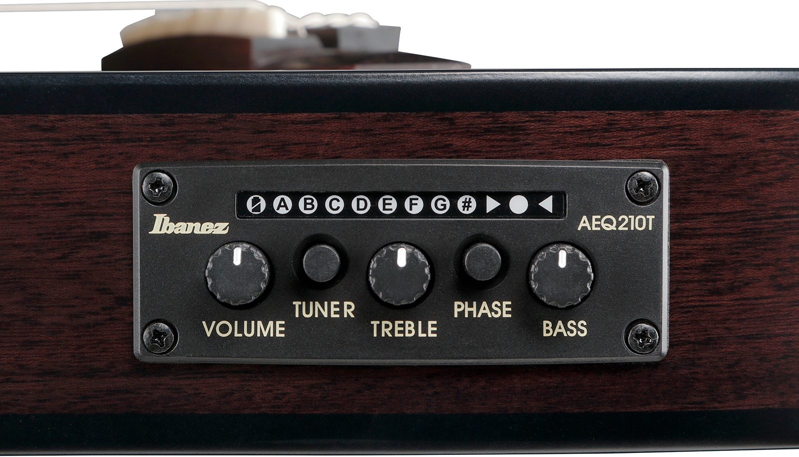 Ibanez Frh20fmn Dgl Hollow Cw Erable Sapele Rw - Deep Emerald Green - Guitare Classique Format 4/4 - Variation 4