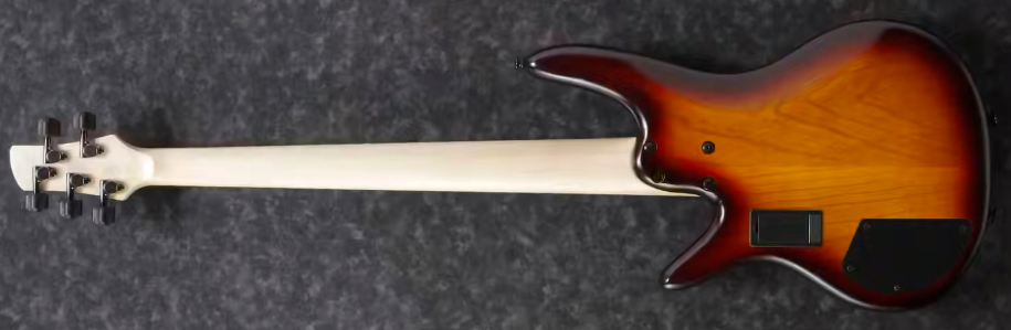 Ibanez Gary Willis Gwb205 Tqf Signature Fretless 5c Active Bartolini Eb - Tequila Sunrise Flat - Basse Électrique Solid Body - Variation 1