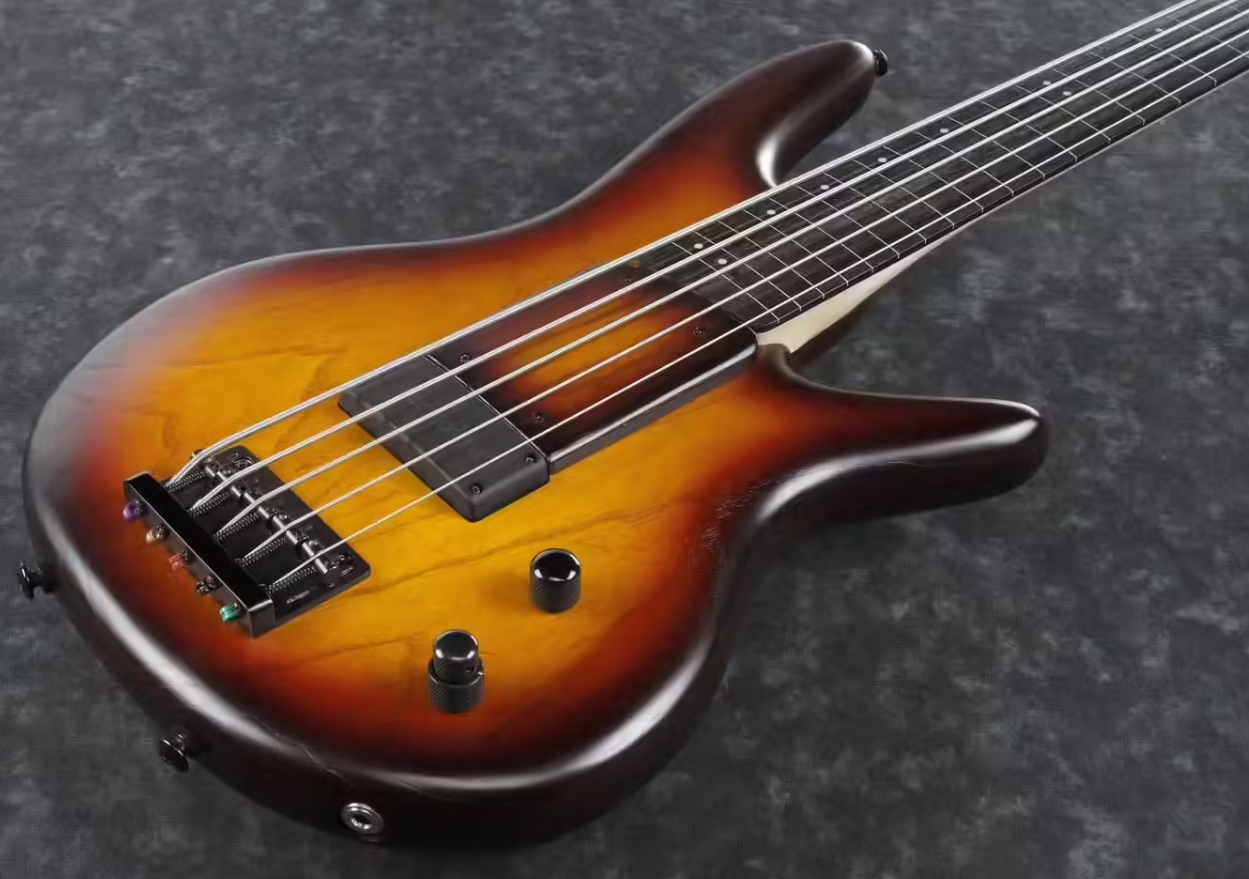Ibanez Gary Willis Gwb205 Tqf Signature Fretless 5c Active Bartolini Eb - Tequila Sunrise Flat - Basse Électrique Solid Body - Variation 2