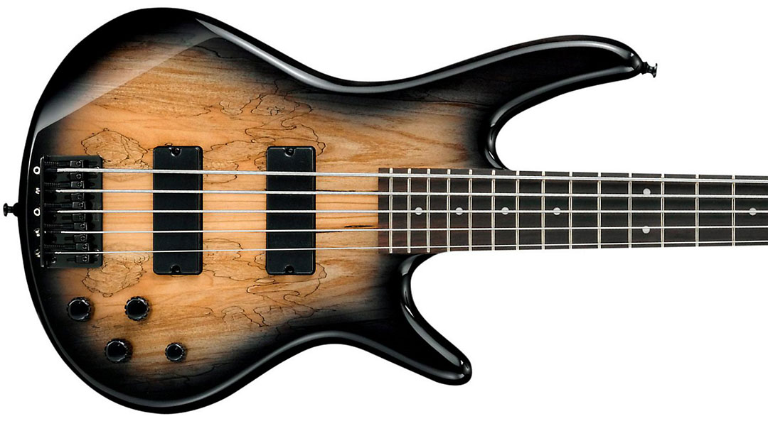 Ibanez Gsr205sm Ngt Gio Nzp - Natural Gray Burst - Basse Électrique Solid Body - Variation 1