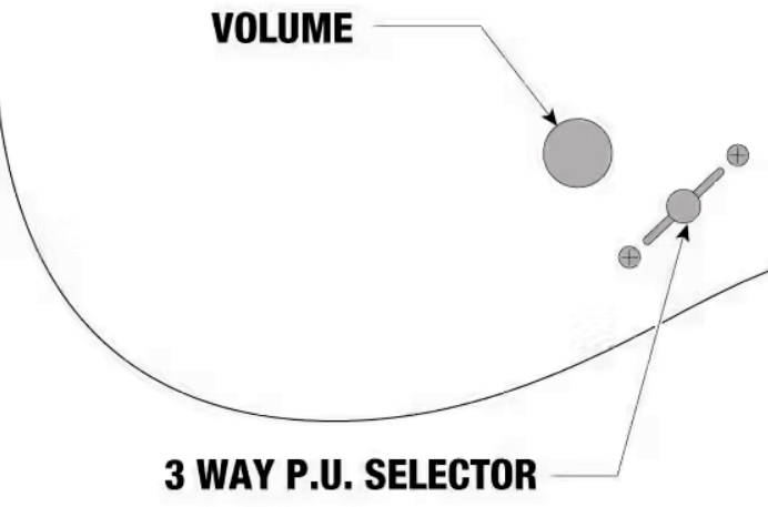 Ibanez Head K7yang Signature 7c 2h Dimarzio Ht Rw - White - Guitare Électrique Signature - Variation 6