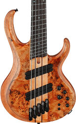 Basse électrique solid body Ibanez Bass Workshop BTB805MS FNL 5-String - Florid Natural Low Gloss