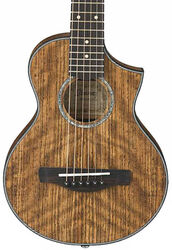 Guitare folk Ibanez EWP14WB OPN - Open pore  natural