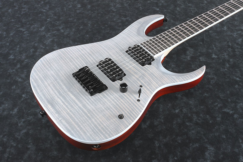 Ibanez Iron Label Rgaix6fm Wff Hh Dimarzio Ht Eb - White Frost Flat - Guitare Électrique Forme Str - Variation 1