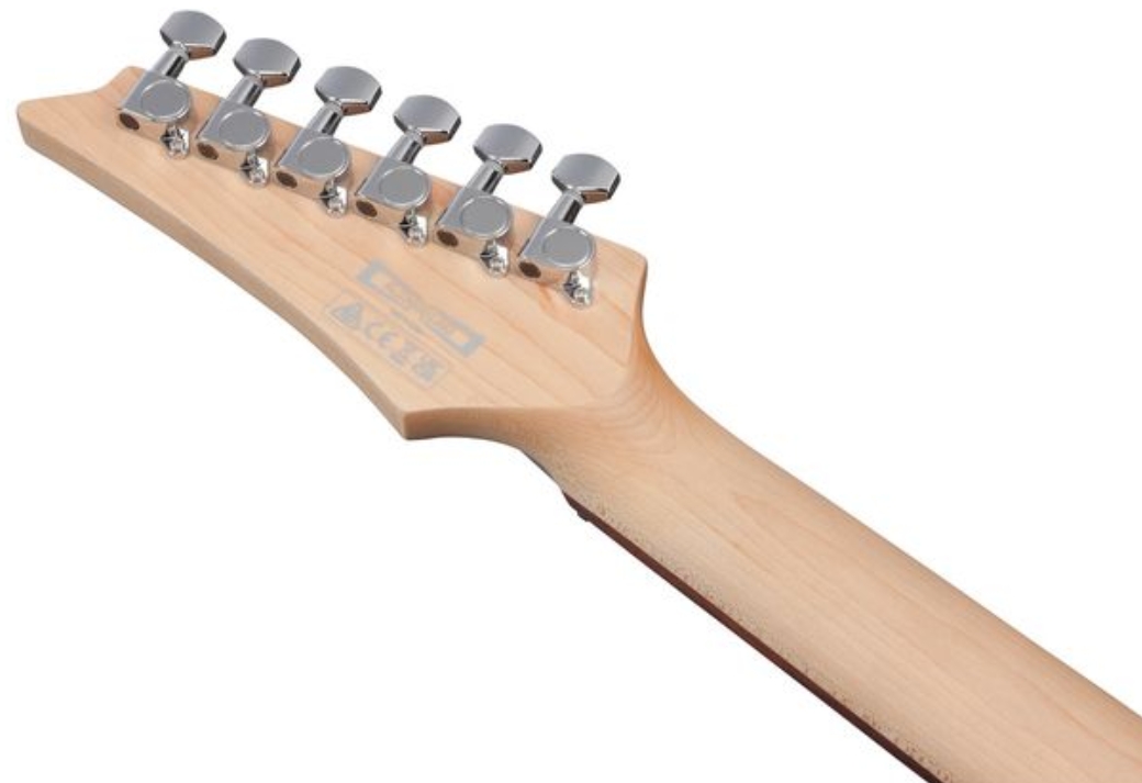 Ibanez Sa260fm Brg Standard Hss Trem Jat - Blue Reef Gradation - Guitare Électrique Forme Str - Variation 4