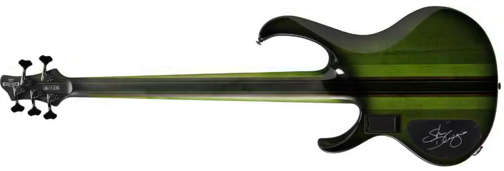 Ibanez Steve Di Giorgio Sdgb1 Dmt Signature Fretless 5c Active Ebo - Dark Moss Burst - Basse Électrique Solid Body - Variation 1