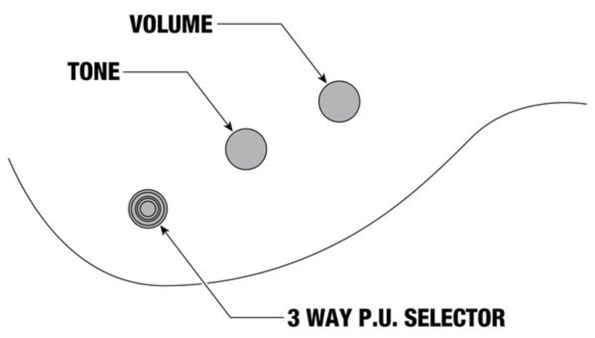 Ibanez Xpt420dx Rgc Standard 2h Fr Rw - Rose Gold Chameleon - Guitare Électrique MÉtal - Variation 5