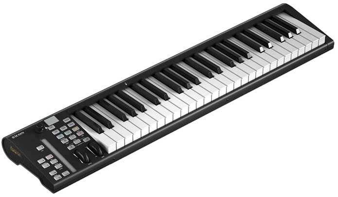 Icon Artist 49x - Clavier MaÎtre - Main picture