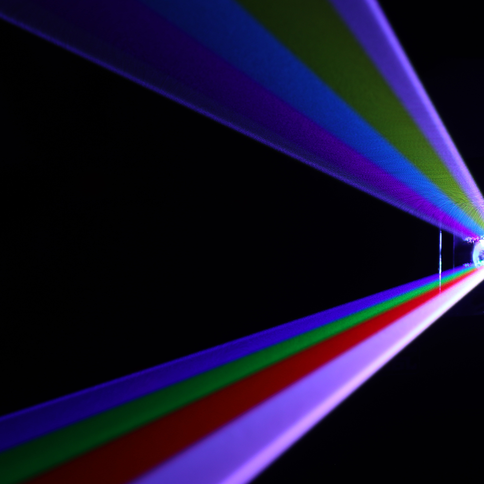 J.collyns Altis 2k Appbt - Noir - Laser - Variation 7