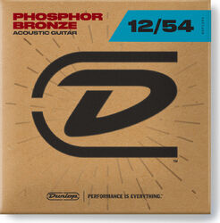 Folk DAP1254 Phosphore Bronze Light 12-54