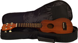 Housse standard ukulele, Tenor