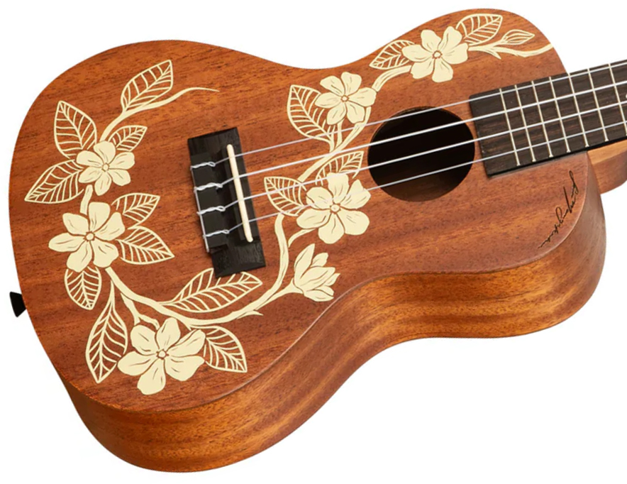 Kala Gardenia Mahogany Concert Ukulele Tout Acajou Rw +housse - Natural Satin - UkulÉlÉ - Variation 2