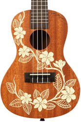 Ukulélé Kala Gardenia Mahogany Concert Ukulele - natural satin