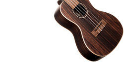 Ukulélé Kala KA-EBY-C - STRIPED EBONY SERIES