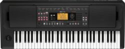 Clavier arrangeur Korg EK 50L