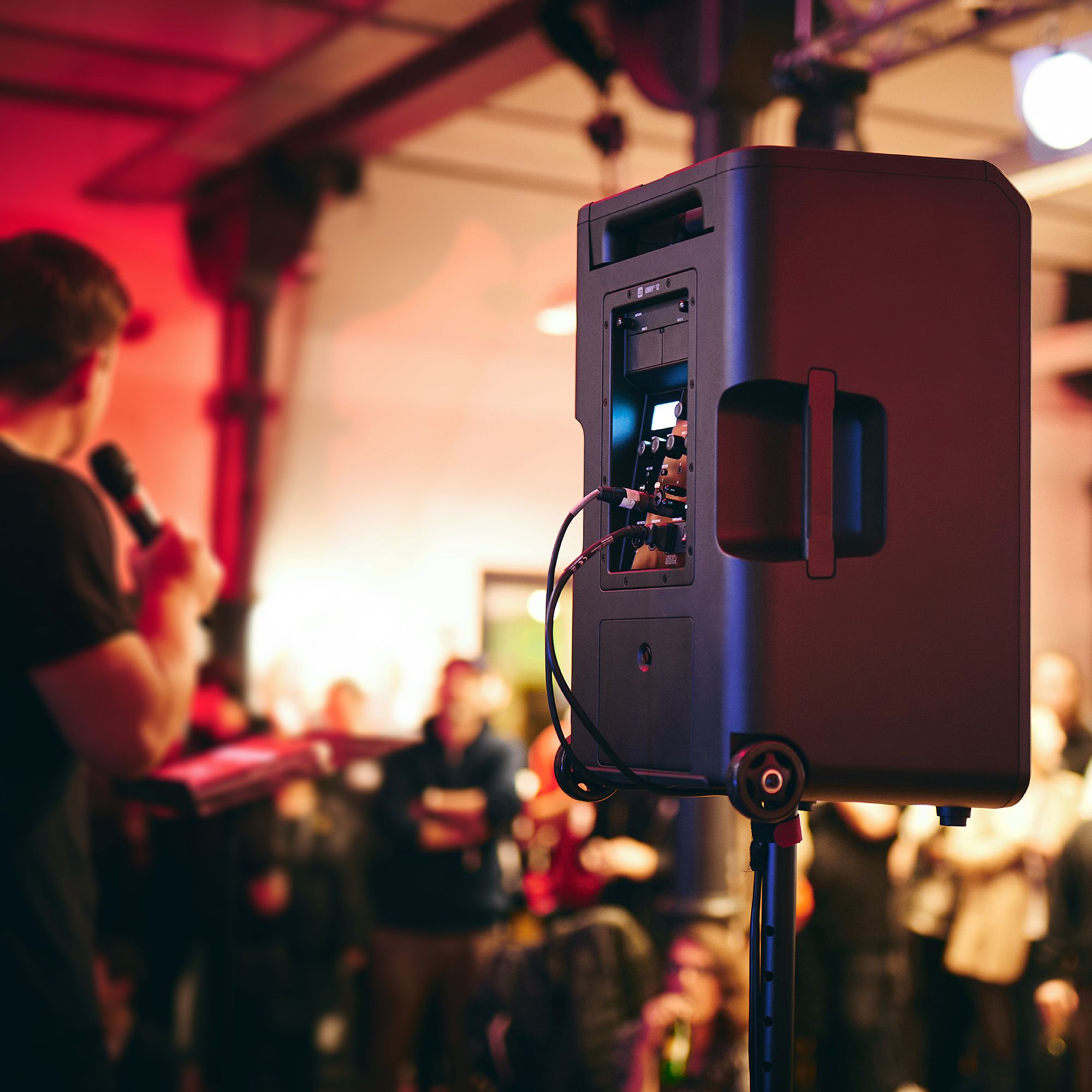 Ld Systems Anny 12 - Sono Portable - Variation 10