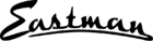logo EASTMAN