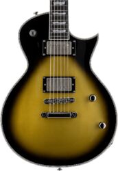 Guitare électrique signature Ltd BK-600 Bill Kelliher Signature - Vintage Silver Sunburst