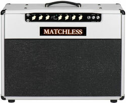 DC-30 Reverb - Gray/White/Silver