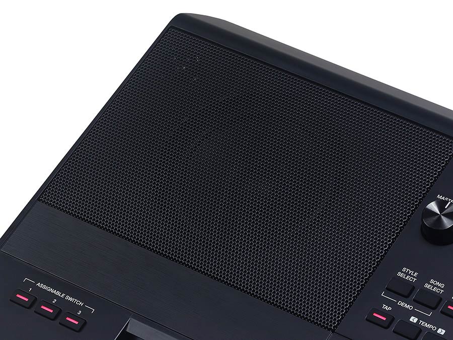 Medeli Akx10s - Clavier Arrangeur - Variation 6