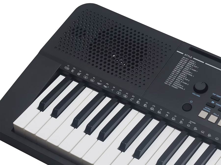 Medeli Mk110 - Clavier Arrangeur - Variation 10