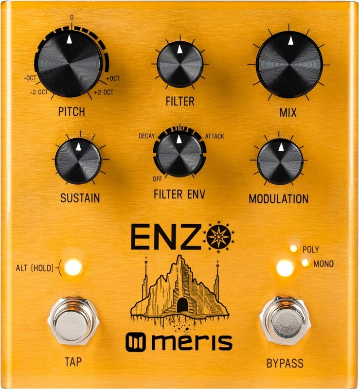 Meris Enzo Multi-voice Instrument Synthesizer - PÉdale SynthÉtiseur Guitare - Main picture