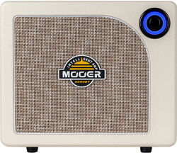 Combo ampli acoustique Mooer Hornet 15I White