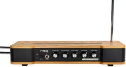 Expandeur Moog ETHERWAVE THEREMIN