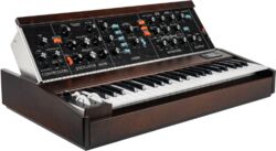 Synthétiseur Moog Minimoog Model D 2022