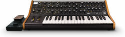 Synthétiseur Moog Subsequent 37 + Expressive E Touché