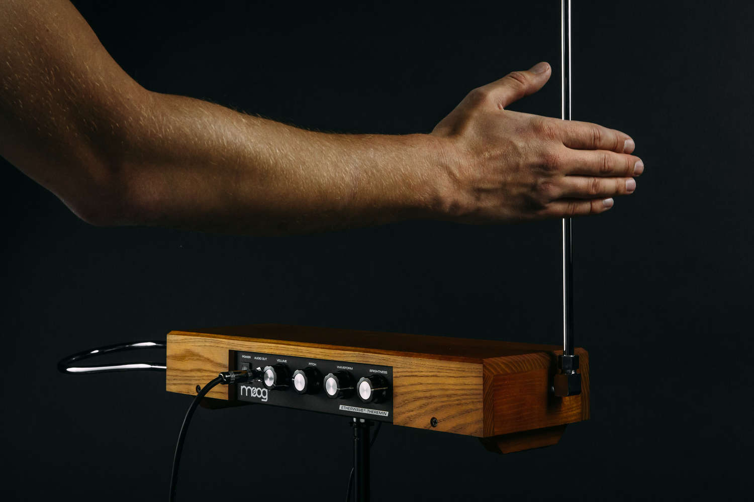 Moog Etherwave Theremin Ash - Expandeur - Variation 4