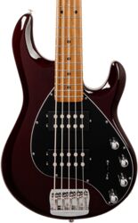 Basse électrique solid body Music man StingRay Special HH 5-String +Gig Bag - Translucent Oxblood