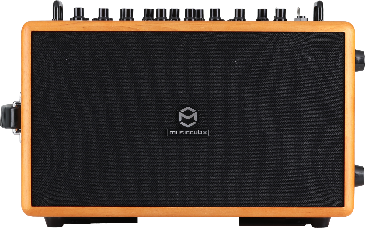 Musiccube M90 Pro Oak Wood - Sono Portable - Main picture