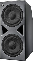 Caisson sub sono actif Neumann KH 870 II AES67