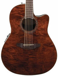 Guitare folk Ovation CS24P-NBM-G Celebrity Standard Plus - Nutmeg gloss